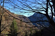 24 Dal grande faggio vista verso il Venturosa